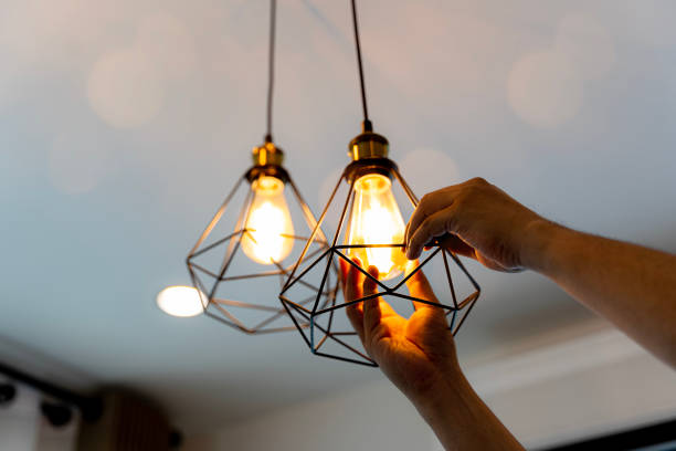Best Electric Panel Repair  in Sammamish, WA